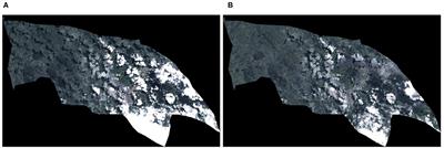 Multi-Dimensional Dataset of Open Data and Satellite Images for Characterization of Food Security and Nutrition